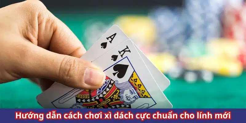 Cách chơi xì dách cực chi tiết dành cho bet thủ